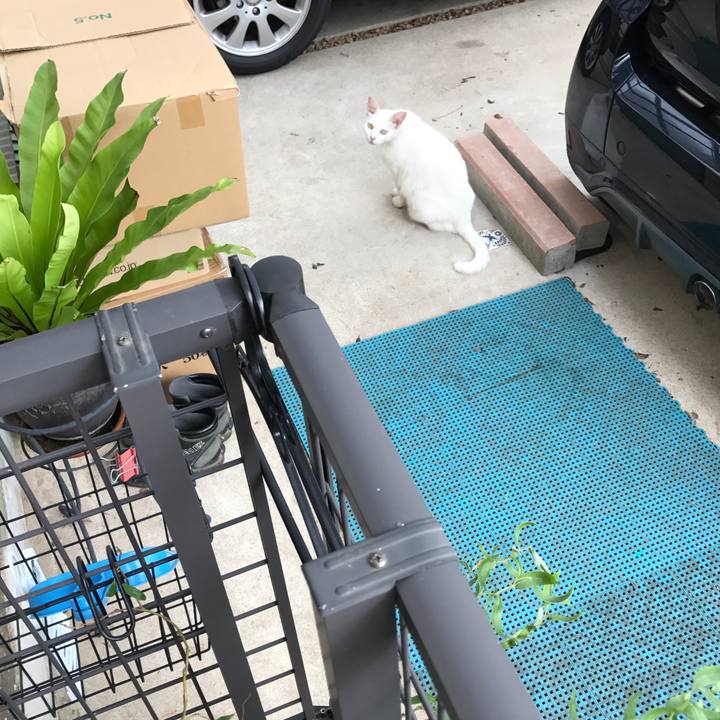 3fa9b09d fb3d 415d ab8c 171ea8aa6105