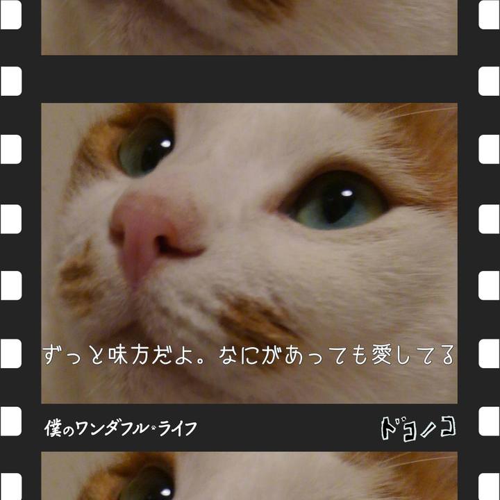 3fa9b1db 35ea 4a7d a4c3 d332432a1bd4