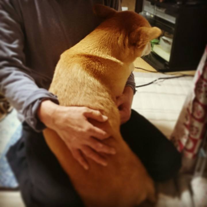 3fa9eb92 0d97 49df bfd0 9b5067a1abb4