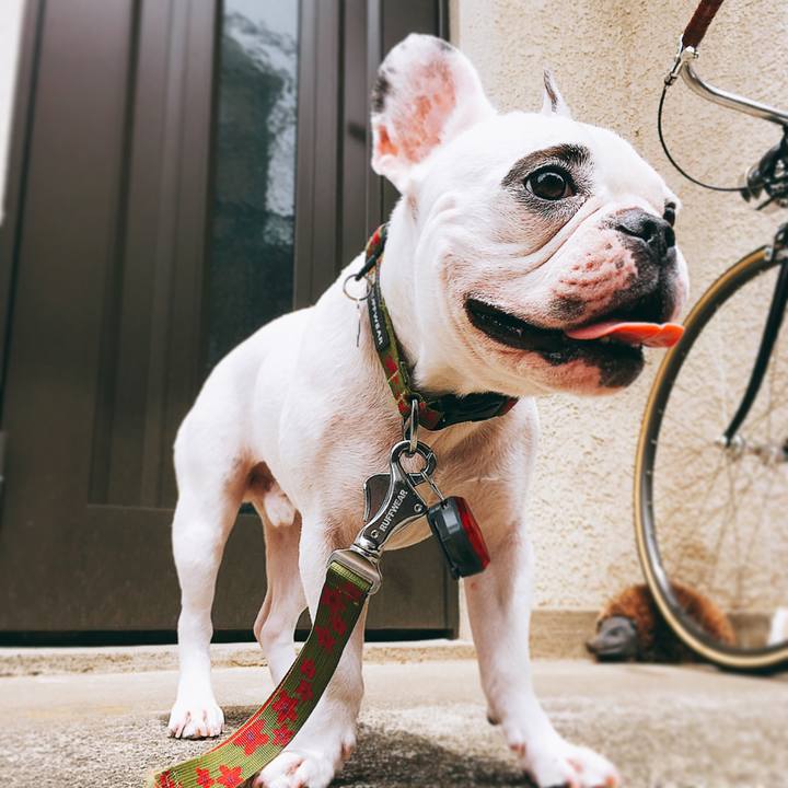 3fabfc55 2e8a 4bb9 a55e 72f40326ab09