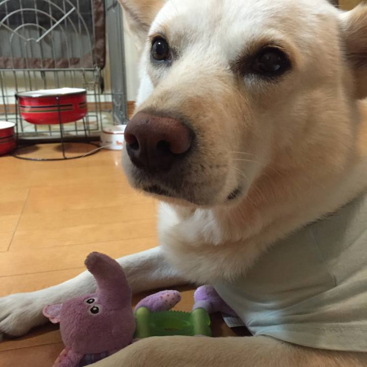 3facc3c3 a370 4e18 9b48 9bf3f84f4a22