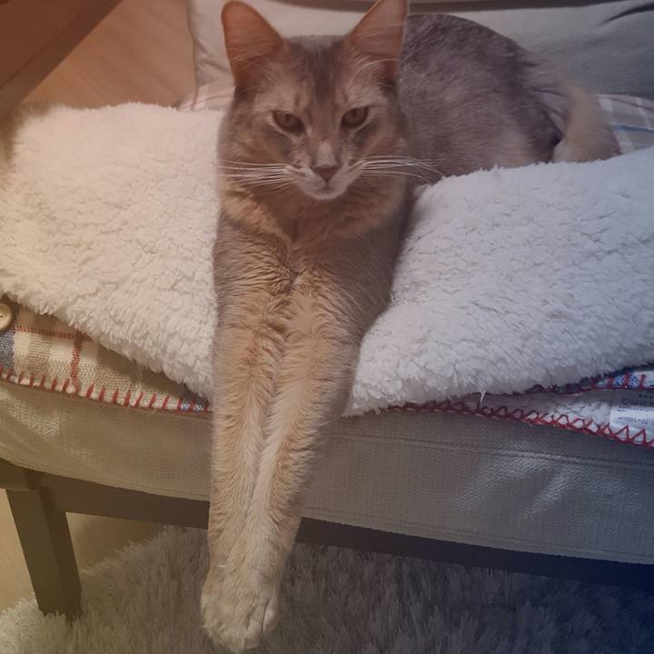 3fad31ab 5b8d 4d26 95d0 c8f425c0213e