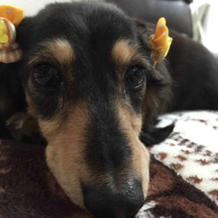 3fae4a62 0d8c 4fee b1ef dc108b39c907