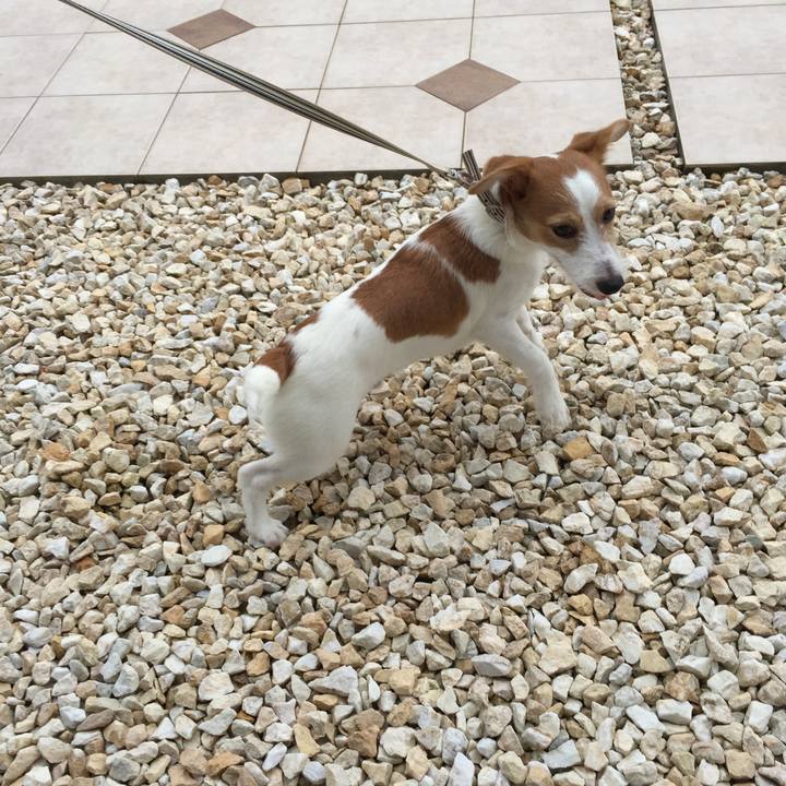 3fae55d0 ad7a 474b 95d0 837192701bef