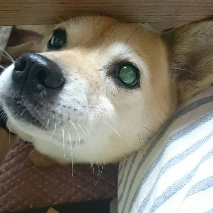 3fae9e91 7e99 48cd a1a7 213669a28394