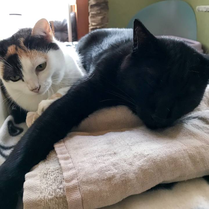 3faeb00a b01e 4634 8468 94b51f040563