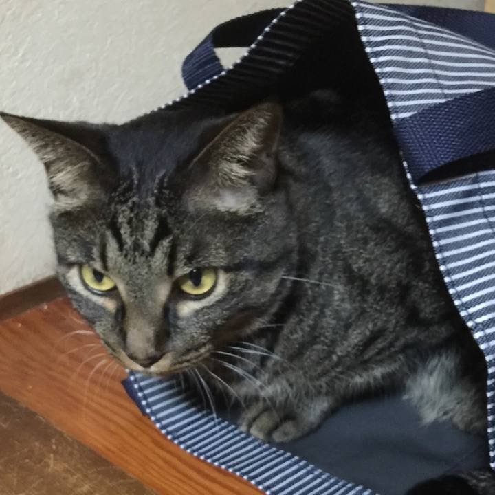 3fafc6e7 0c4f 427b b36c a4c4ad7c11aa