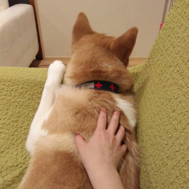 3fb0012f 5cfa 44ee 9f5f 65bdc6516897