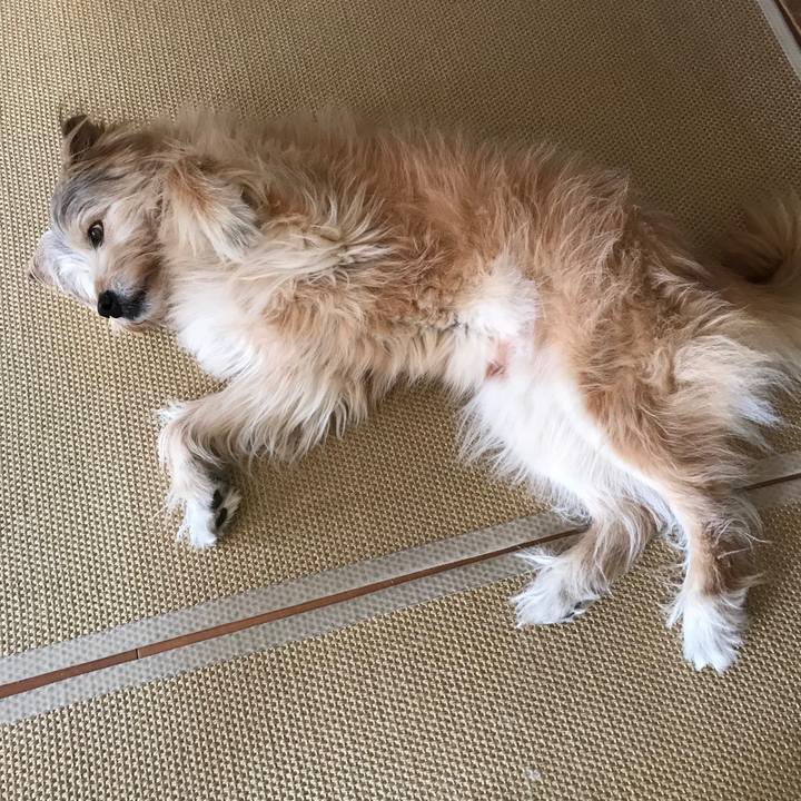 3fb043ec 103f 4002 948e 70ba453caa43