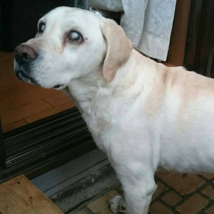 3fb09d9a 170a 419e b24a d50a9749c0e9