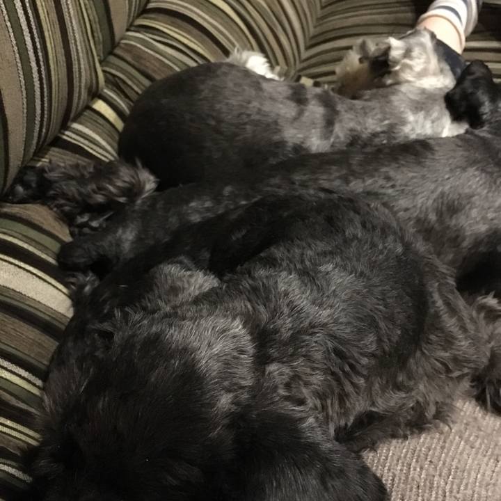 3fb0d9fc 75bb 4baa 8f92 9b5984b7b523