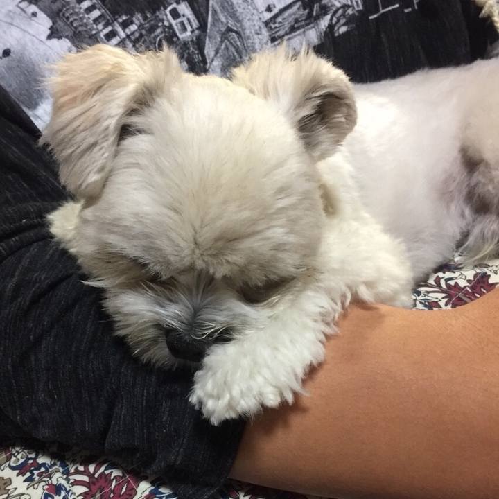 3fb12b9d d581 425e a661 9c4242000a4e