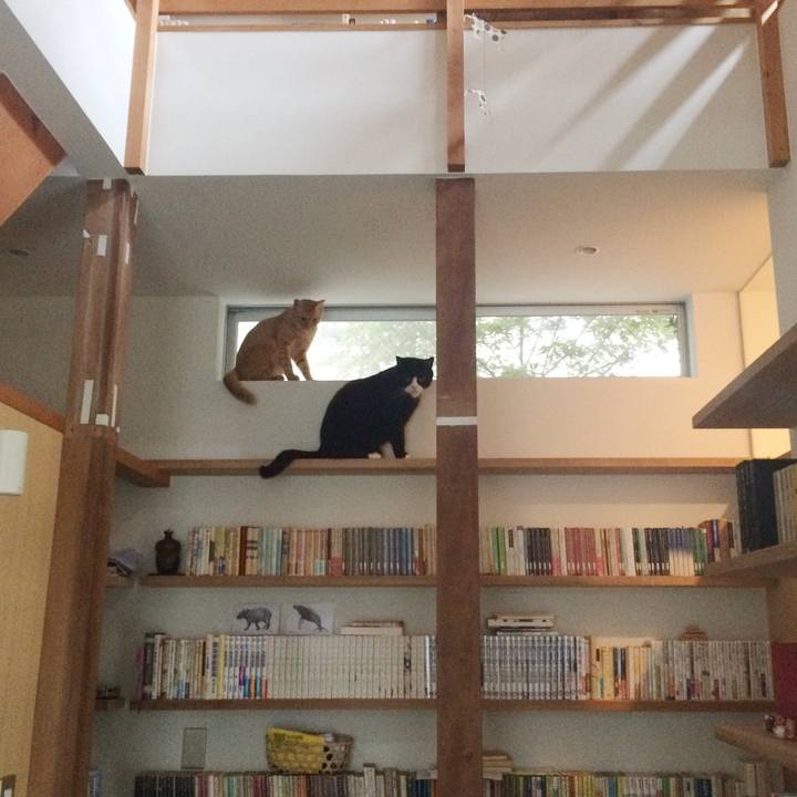 3fb17b63 6fa3 4f09 a841 c0f06c75eaac