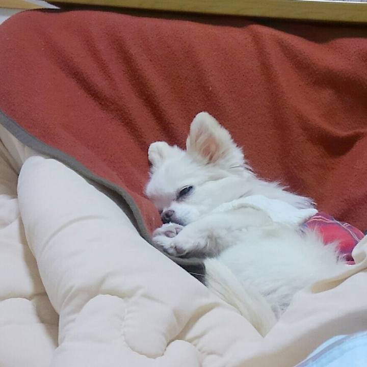 3fb186ea 6f9f 4eed a567 10fa527ba242