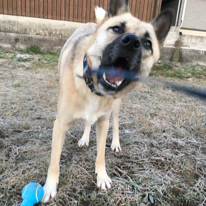 3fb288d4 e075 467c 9ded 89af0e1db1a1