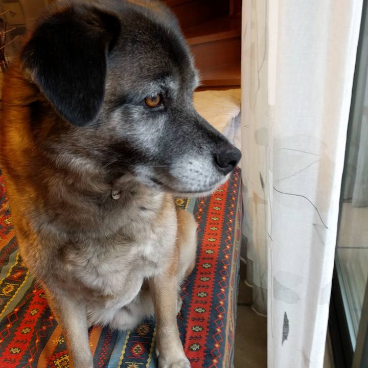 3fb3606e a6eb 408d 86e7 93081a335473