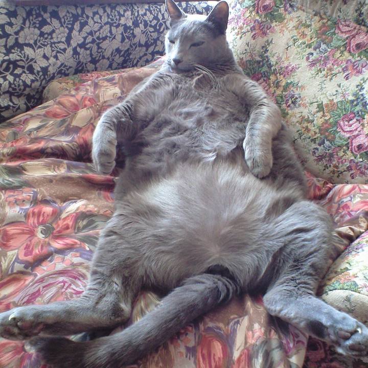 3fb38648 2a00 4709 8262 bf48af8dadd0