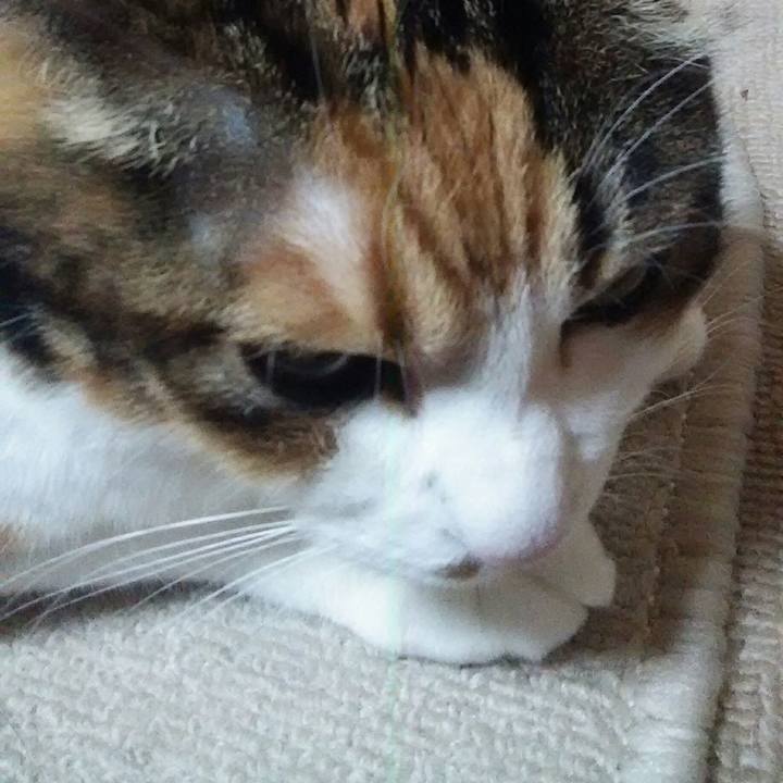 3fb3f6a5 25b8 4c41 9150 f593f851f23a