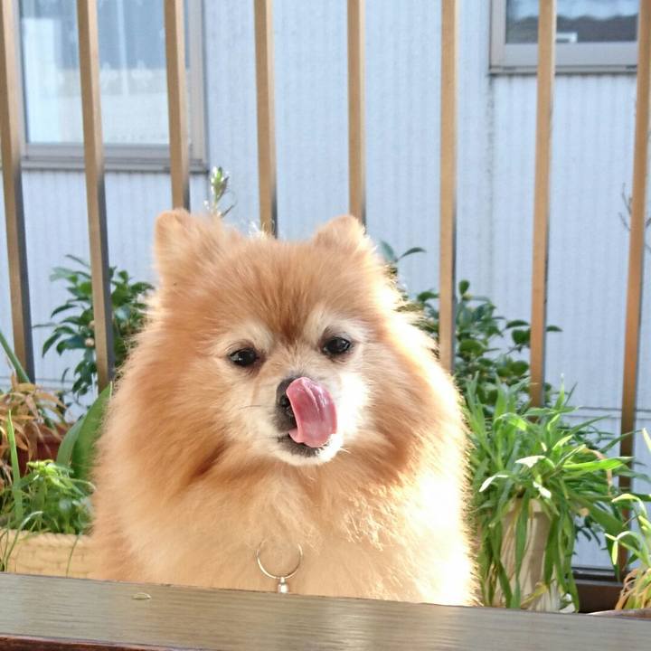 3fb48f8e 03c9 4559 8385 a46c1459f18f