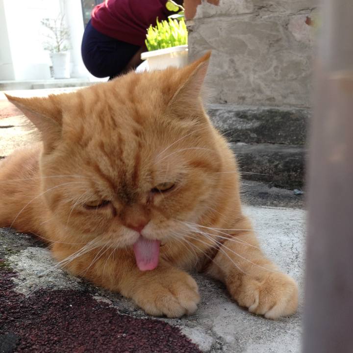 3fb540ef 7db7 44d2 9f62 8f79ce9a30f0