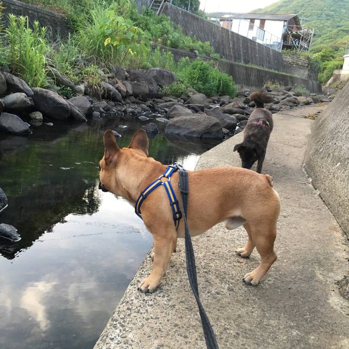 3fb54aba 47bb 439b 9b0d 974f1dee83aa