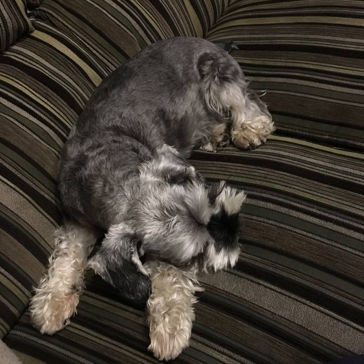 3fb57fea 5697 4cce a679 9d5fd91543fd