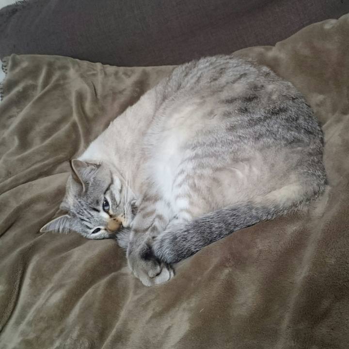 3fb6223e 3b77 46c2 b266 1cff447dbfeb