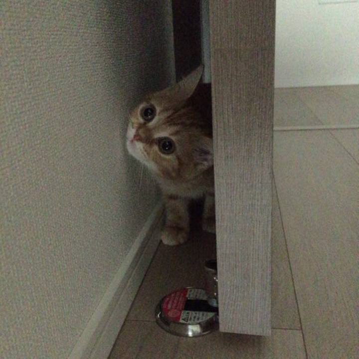 3fb68a97 162a 491f b949 9c611265f303