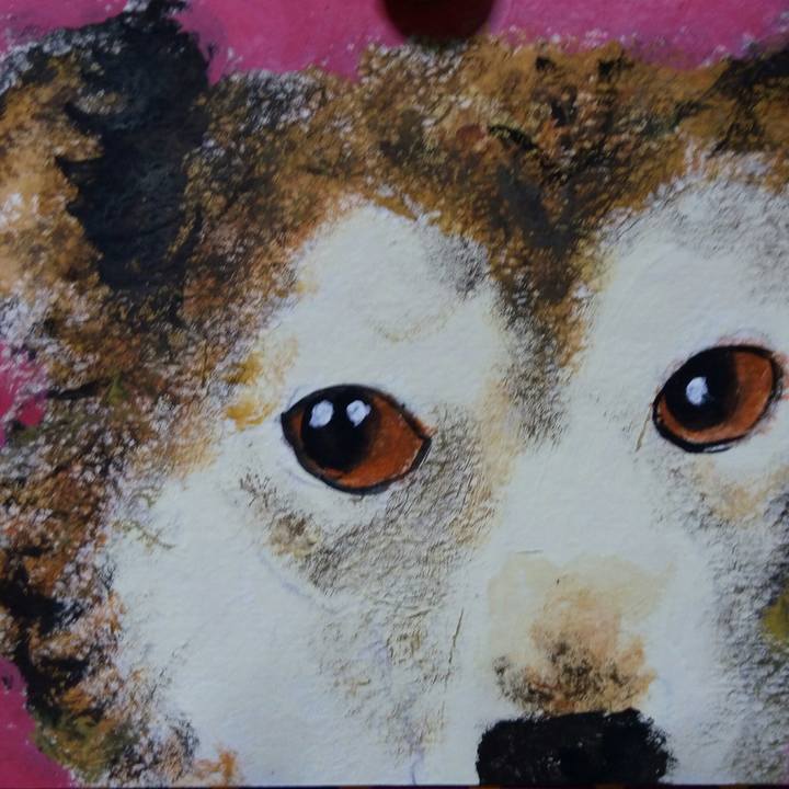 3fb6c858 1019 4cbb af55 a6663b8cfe38