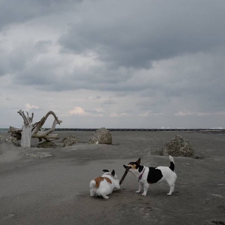 3fb70c05 6f36 4ac0 b721 75686e8ae265