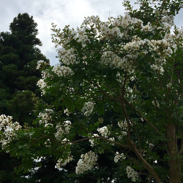 3fb7767a 8373 4a42 a5cc f537f6912ba3