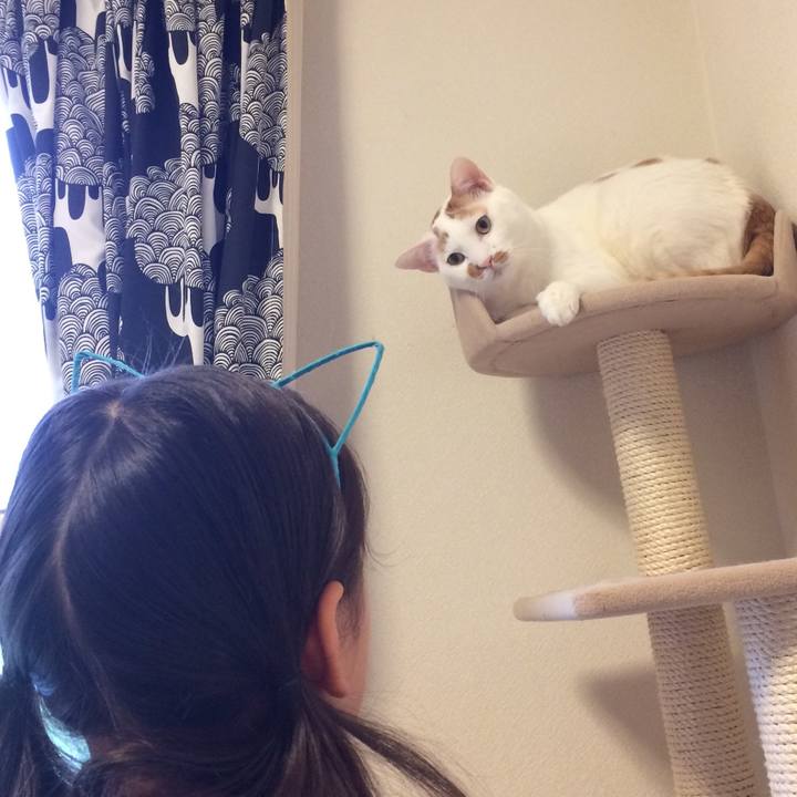 3fb8420a 3cc0 4275 a4bb ca3d9bc62141