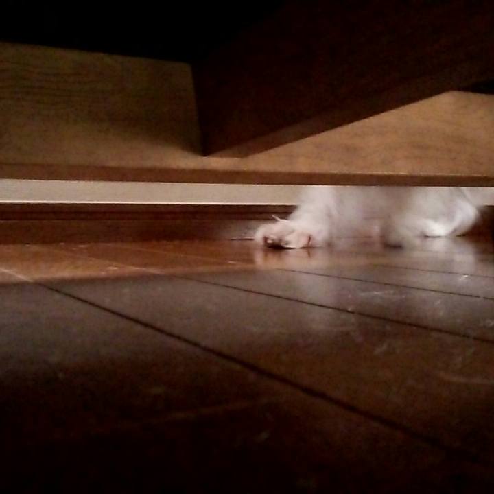 3fb96147 475f 4579 9ea0 1620dc3be9f6