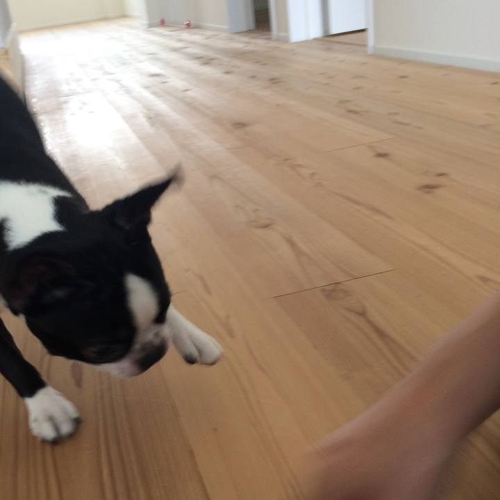 3fb974ab 55ea 4fe1 a1fa 6bddd67318ea