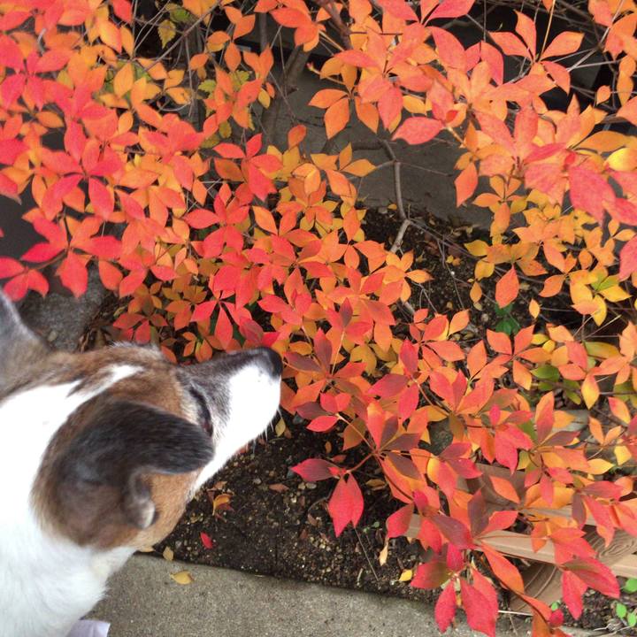 3fb9b39d 8235 4f1b 9e18 6ae71e25b293