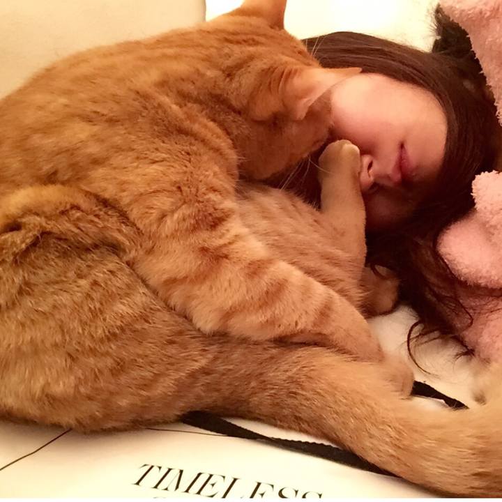 3fb9dc0a f14d 4aab a5c1 9eea13b76a10