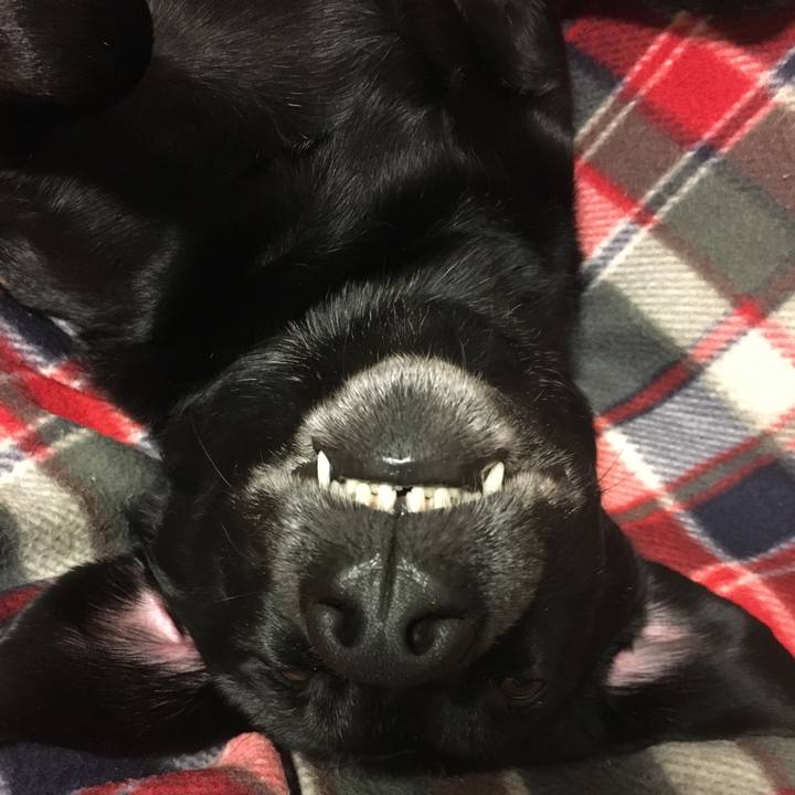 3fba7f66 45f3 4b46 ae37 83bbc24f5e75