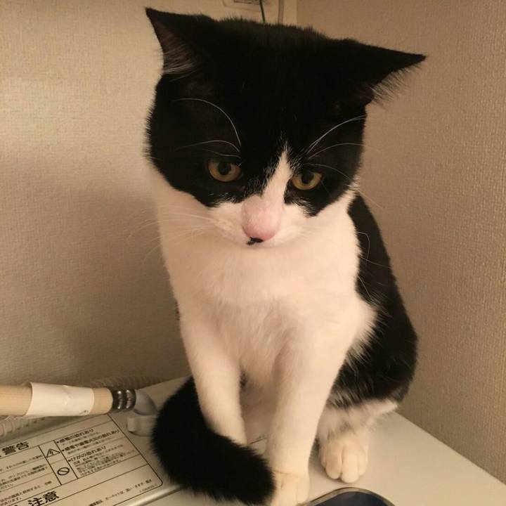 3fbaa72b 885c 496c 9e81 0cf314e64ca5