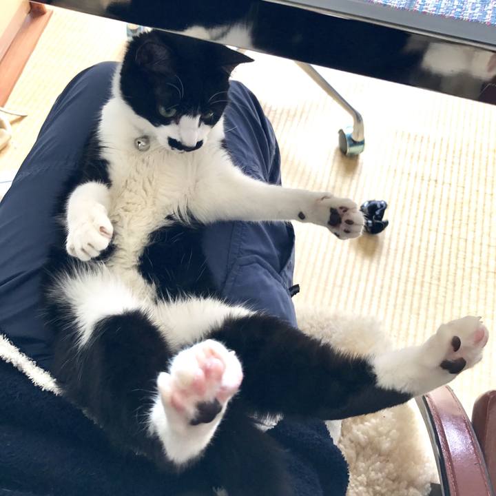 3fbad7aa 70c4 4e55 8101 2e504ab39326