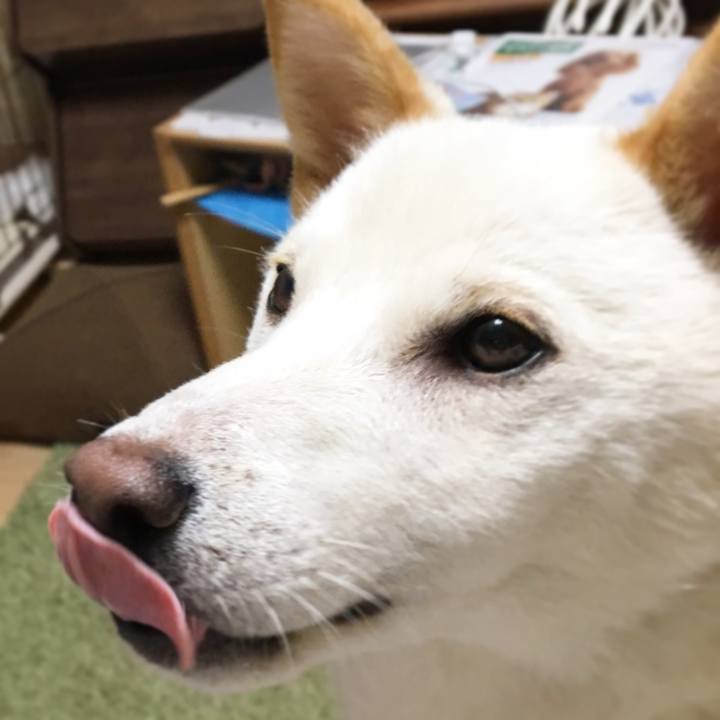 3fbc165f d2ab 416a b969 c4d0a3eeaecd