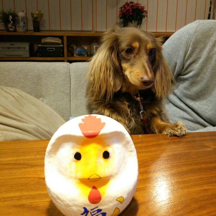 3fbc2cea 4cbb 4441 a237 ce830bd3107e