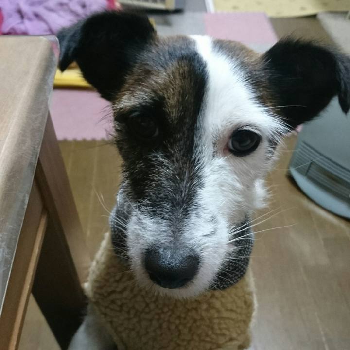 3fbdfb4c 209c 4cce a8a6 e195b7a20808