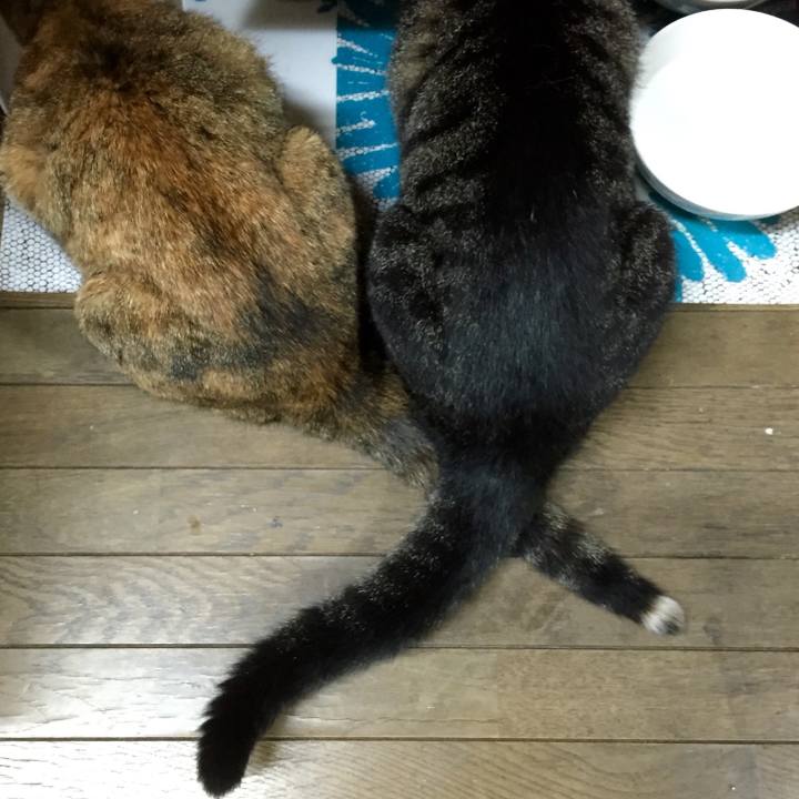 3fbe408f 0ed2 4ef1 bf11 349610a8641b