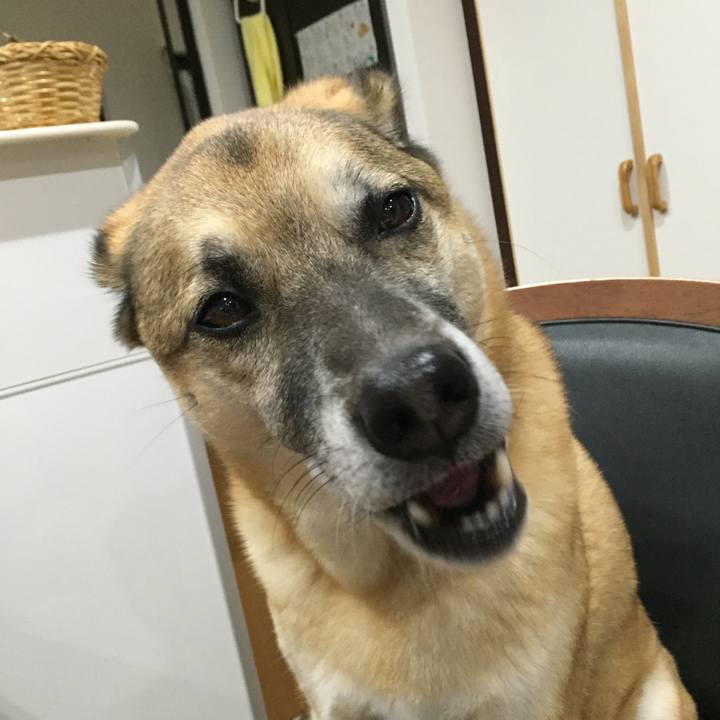 3fbe5e0a 725b 4dad a2dd 25d59ae52583