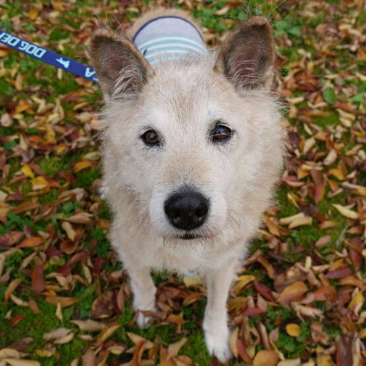 3fbead7a b9d8 445b 90e0 3e6745752e36