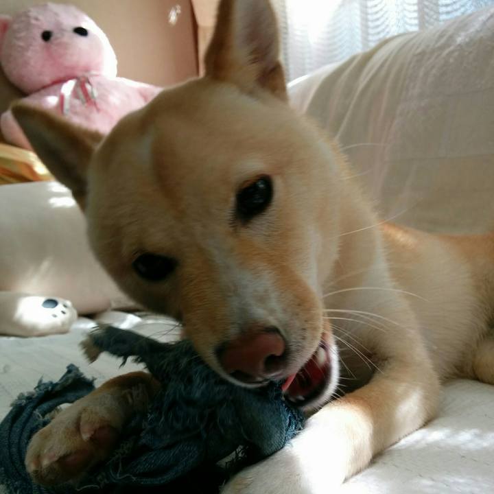 3fbf0a6d 8079 4aa8 bc39 dfede360bb7f