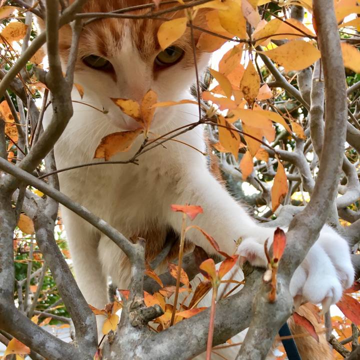 3fbf33a8 6dde 44fa 918b f5d9b38cd67b