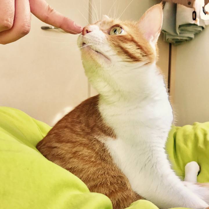 3fbf8d40 0aa2 42f2 9726 230b8bc32b16