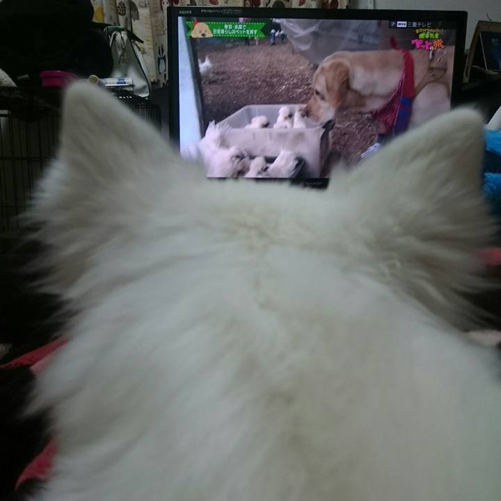 3fbf9846 5895 463b 9735 f5905b6fa281