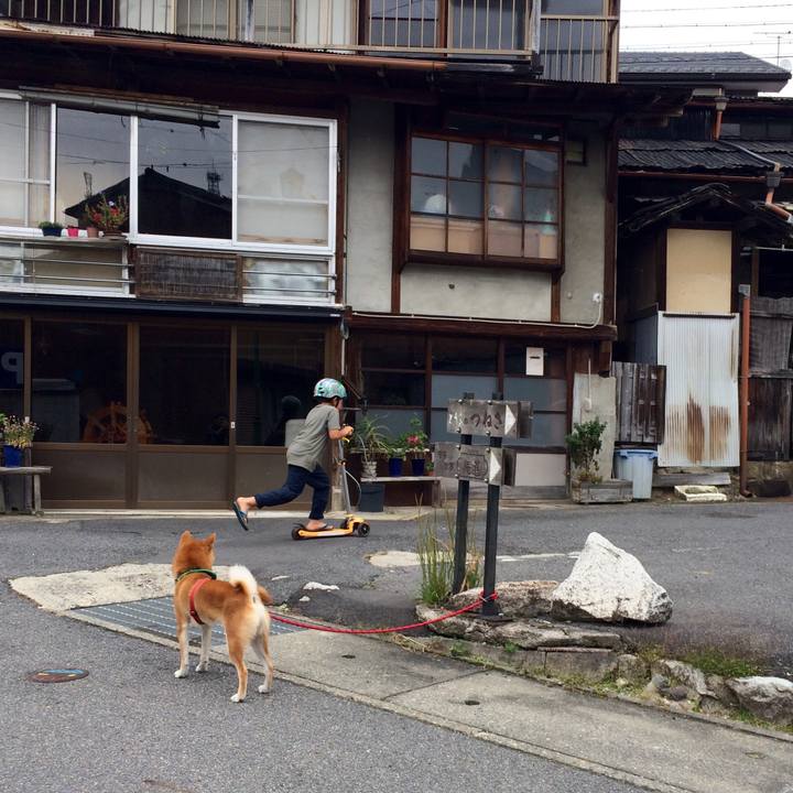 3fc034cc e483 4949 86ce c3436625ff1d